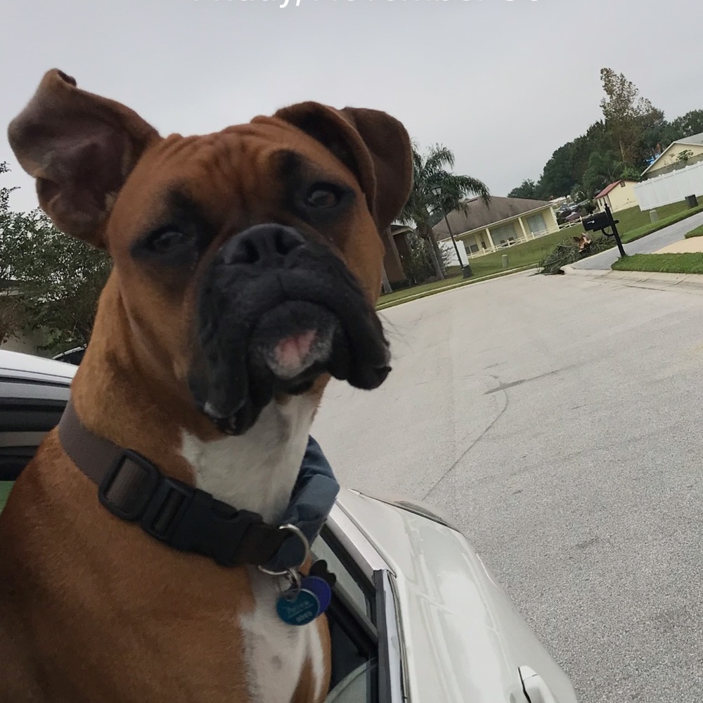 Meet your Posher, Julia